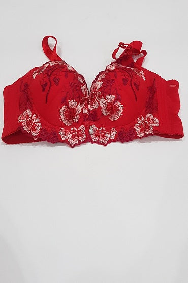 Women's Red Fancy Bra