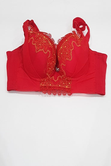 Women's red fancy bra